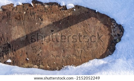 Ancient rock art. On the weathered surface of the stone, carved primitive drawings of animals, spots of lichens are visible. It's snowing all around. Altai. Kalbak-Tash