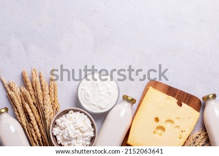 Shavuot flat lay with dairy products and wheat on light gray background, Happy Shavuot web banner. Jewish Shavuot holiday frame with dairy foods, top view Royalty-Free Stock Photo #2152063641