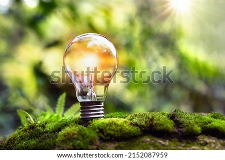 light bulb on green grass and sunlight in nature. concept of energy saving Royalty-Free Stock Photo #2152087959