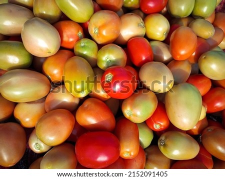 Capture of stall of riped tomatoes. Ripen tomatoes isolated on stall in Farm. Tomatoes stall in vegetables farm.  Red tomato stall. With selective focus on the subject. Royalty-Free Stock Photo #2152091405
