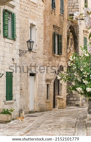Street of the old town of Kotor in Montenegro. Empty street with ancient stone buildings in the old town of Kotor. Royalty-Free Stock Photo #2152101779