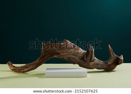 Front view of branch tree and white podium in blue background 