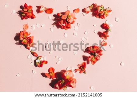 Stylish red flowers composition in heart shape on pink background flat lay. Happy Mothers and Women's day. Spring quince flowers layout. Floral greeting card template.