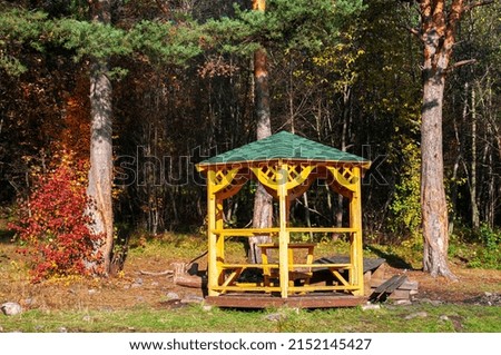 gazebo on the background of the forest. High quality photo