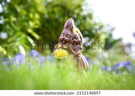 Illustration picture shows a milk chocolate Easter egg, a pair (couple) of bunnies lies in a garden among spring flowers. Easter eggs hunt