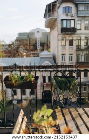urban balcony with potted plants. balcony with flowers. balcony with sun glare and rainbow.