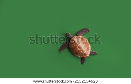 toy turtle realistic on green background. banner. copy space. place for text. world turtle day. environment protection
