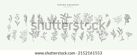 Floral branch and minimalist leaves for logo or tattoo. Hand drawn line wedding herb, elegant wildflowers for invitation save the date card. Botanical rustic trendy greenery Royalty-Free Stock Photo #2152161553