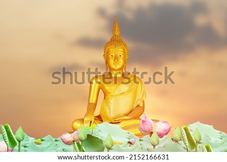 Buddha statue. background blurred flowers and sky with the light of the sun.Makha Bucha Day.
Vesak Day.Asanha Bucha.Buddhist Lent.