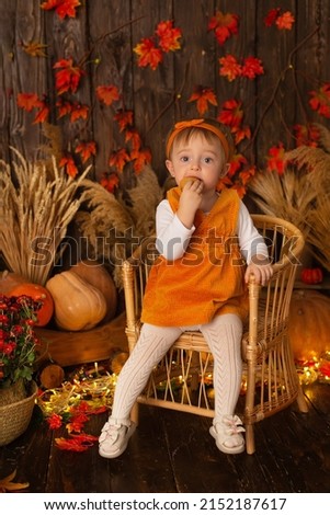 The girl is sitting on a chair against a background of pumpkins and flowers. Halloween.