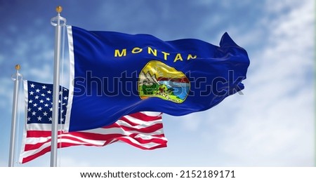 The Montana state flag waving along with the national flag of the United States of America. In the background there is a clear sky. Montana is a state in the western United States Royalty-Free Stock Photo #2152189171