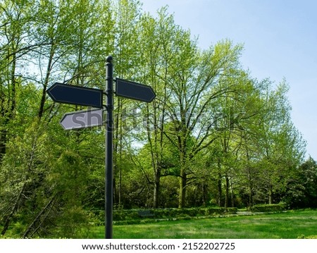 Road signs of directions in a tropical park against the backdrop of tropical trees. Street direction signs. Mocap. Place for text.