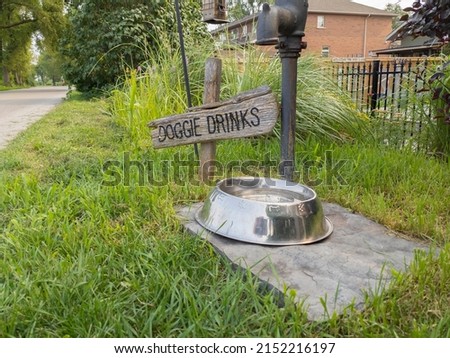 Sign doggie drink on the street by a metal bowl filled with water left for stray dogs and cats by sidewalk in summer heatwave. Taking care of pets and animals, acts of kindness, humanity concept.