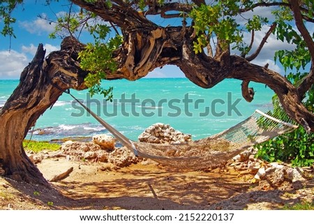 Beautiful coast landscape,  twisted crooked gnarled old tree arch empty isolated relax hammock rocky rock, turquoise caribbean sea waves, blue sunny sky - Treasure beach, Jamaica  Royalty-Free Stock Photo #2152220137