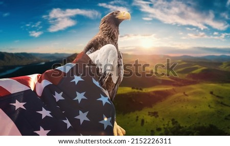 Eagle With American Flag on sunset summer background
