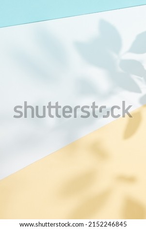 Mockup with background shadow on white background. Modern wallpaper. Overlay effect. Light background. Pastel tropical leaves background.