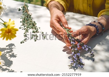 Alternative medicine. Collection and drying of herbs. Woman holding in her hands a bunch of sage flowers.Herbalist woman preparing fresh scented organic herbs for natural herbal methods of treatment. Royalty-Free Stock Photo #2152277959
