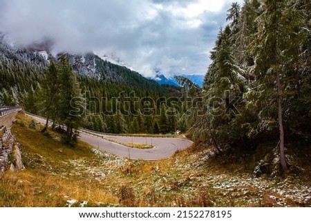 Road in evergreen mountain forests. Passo Rolle. The famous picturesque pass in the Dolomites. Autumn trip to the Italian Alps. Italy.