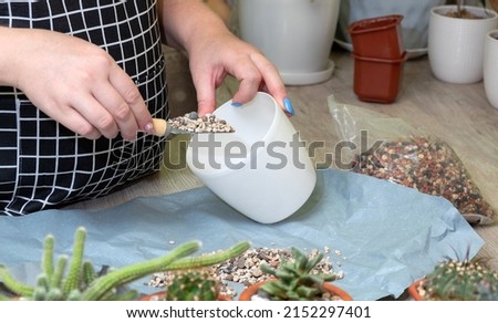 Women's hands pour pebbles into white pot with spatula. Plant care. Selective focus. Picture for articles about hobbies, plants.