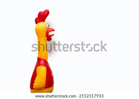 Rubber toy in the form of a rooster on a white background. The funny toy rooster has a surprised and dumbfounded look with its beak open. The toy makes loud noises. Free space for text and ads