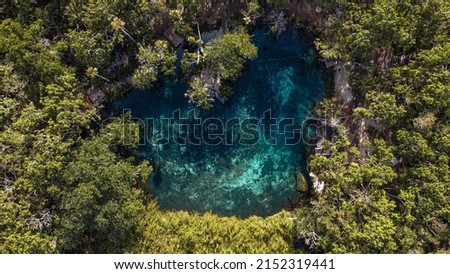 Cenote paradise’s heart in the middle of the nature in Tulum, Mexico. Romantic concept in the middle of the nature.  Clear water so you can see the depth. Empty cenote , no a single person on it. Royalty-Free Stock Photo #2152319441