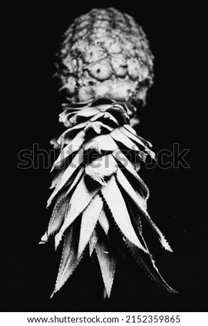 Abstract photograph of a pineapple in black and white