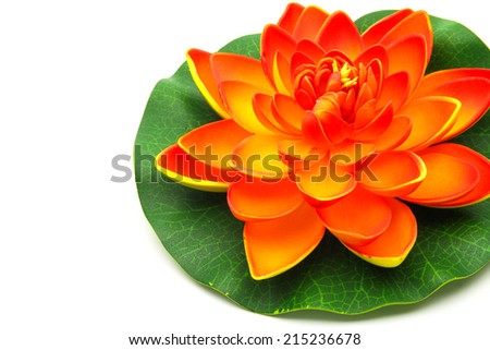 Lotus flower model with leaf isolated on white background