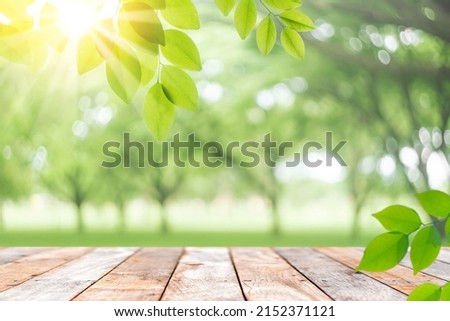Blur park and green nature bokeh leaf  with sun light on copy space empty old wood table abstract background. Product presentation in fresh nature. Ecology environment and nature concept.