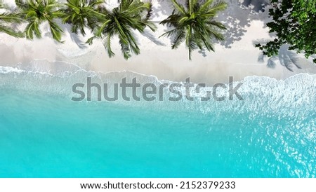 Aerial top view the palm trees in a tropical summer with  Soft blue ocean wave on the beach and soft wave background.