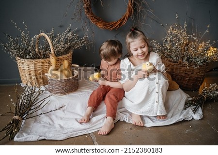 girl with little goslings gray background willow eco style. High quality photo