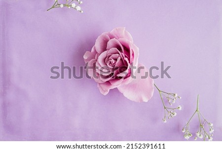 Purple rose on purple background with water ripples and white flowers. Copy space.