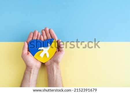 White dove with olive branch on paper heart with Ukrainian flag colors in the hands of a man on blue and yellow background. Copy space.