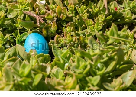 Blue Egg on fresh floral meadow green background. Happy Easter Celebration Ornament concept. Colorful festive banner. Copy space. Beautiful postcard with Easter decoration in nature at spring. 