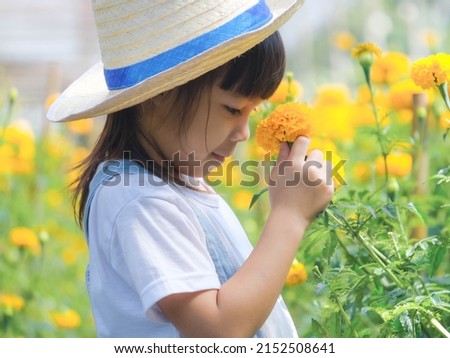 Cute little girl in a hat is smelling flowers in the marigold garden. Cute girl playing in a beautiful flower garden. A little gardener.