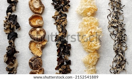 Different species of Asian dry fungi in lines. Assortment of dried mushrooms.  Royalty-Free Stock Photo #2152541889