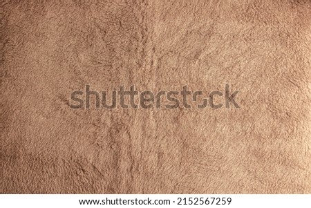 Background picture of a soft fur beige carpet. Wool sheep fleece closeup texture background. Top view. Royalty-Free Stock Photo #2152567259
