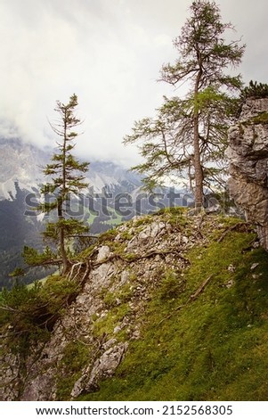 A rocky slope in the mountains overgrown with trees. Royalty-Free Stock Photo #2152568305