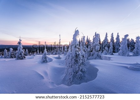 A photo of a colored winter morning on the border of Germany
