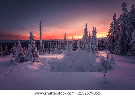 A photo of a colored winter morning on the border of Germany