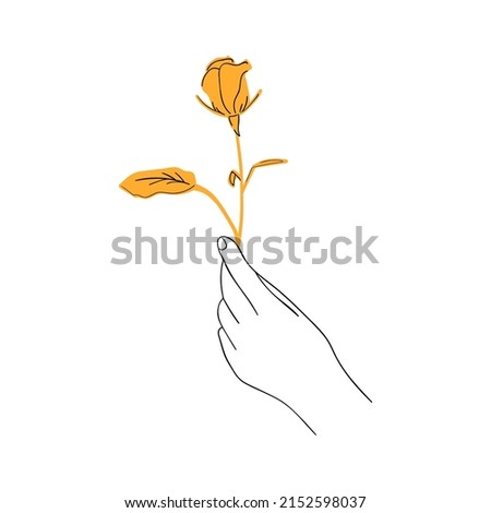 A hand holds a rose flower contour and flat drawing on a white isolated background. Style line, sketch, flat, symbol, icon