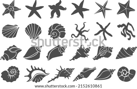 Set of seashell vectors. Hand-drawn illustration with line engraving. Collection of realistic sketches of various clams of sea shells of different shapes.
