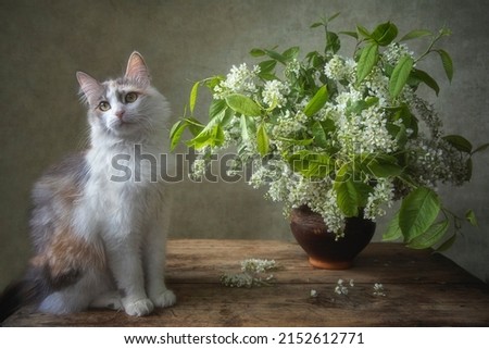 Still life with bouquet of wild cherry and curious kitty