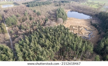An Aerial landscape view of a green European pine forest and water pond on a sunny day