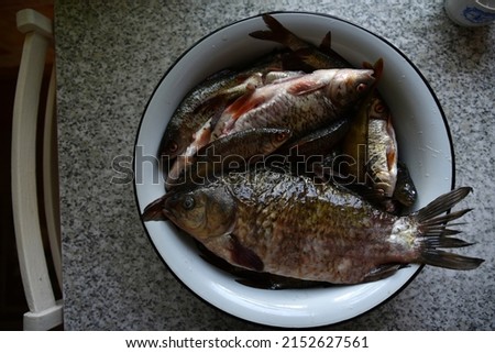 Fresh fish crucian carp and roach in a saucepan
