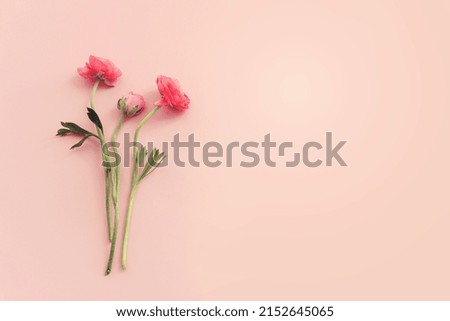 Top view image of pink flowers composition over pastel background
