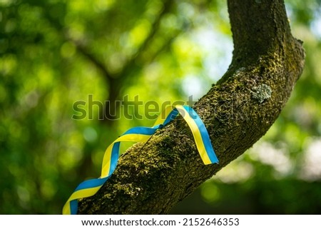 yellow and blue patriotic ribbon on a tree trunk, Ukrainian ribbon of freedom on a green background, colors of the flag of Ukraine as a symbol of courage, freedom and struggle for independence