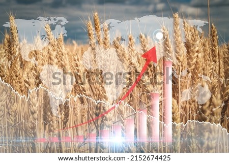 Global and European grain and wheat crisis after Russia's invasion of Ukraine, largest exporters of grain. Embargo and sanction for export of grain, Food of Agriculture. Royalty-Free Stock Photo #2152674425