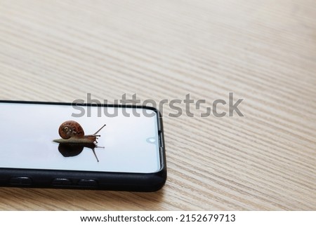 Snail walking quietly on a smartphone