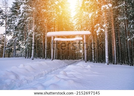 A wooden sign covered with snow on the background of a winter forest. Mockup for the name, advertising.