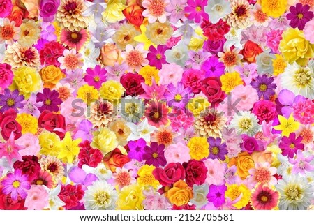 background with colorful miscellaneous flowers Royalty-Free Stock Photo #2152705581